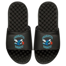 Charlotte Hornets HWC