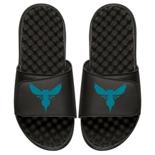 Charlotte Hornets Hornet