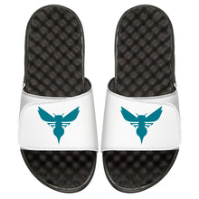 Charlotte Hornets Hornet