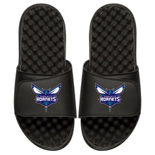 Charlotte Hornets Primary