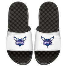 Charlotte Hornets Primary