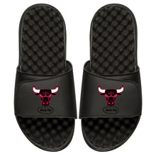 Chicago Bulls HWC