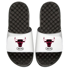 Chicago Bulls HWC