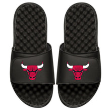 Chicago Bulls Icon
