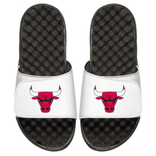 Chicago Bulls Icon