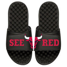 Chicago Bulls Playoffs