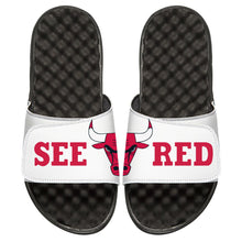 Chicago Bulls Playoffs
