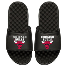 Chicago Bulls Primary