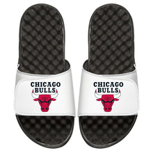 Chicago Bulls Primary