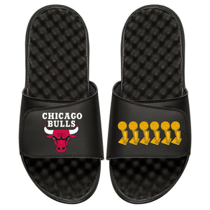 Chicago Bulls Trophies