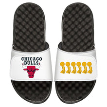 Chicago Bulls Trophies