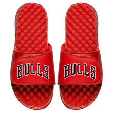 Chicago Bulls Wordmark