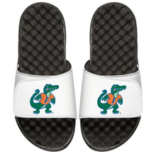 Florida Mascot