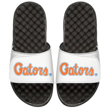 Florida Script
