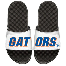 Gators Split
