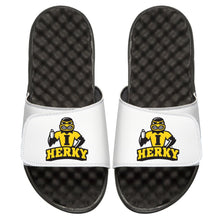 Iowa Herky