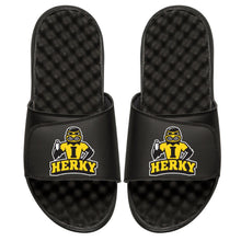 Iowa Herky