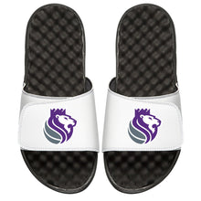 Sacramento Kings Lion