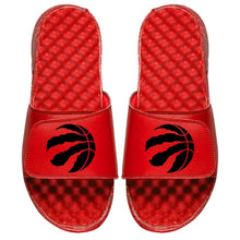 Toronto Raptors Primary Logo