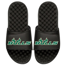 USF Bulls