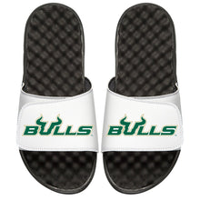 USF Bulls
