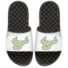 USF Bulls Primary Gold