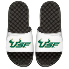 USF Bulls Secondary